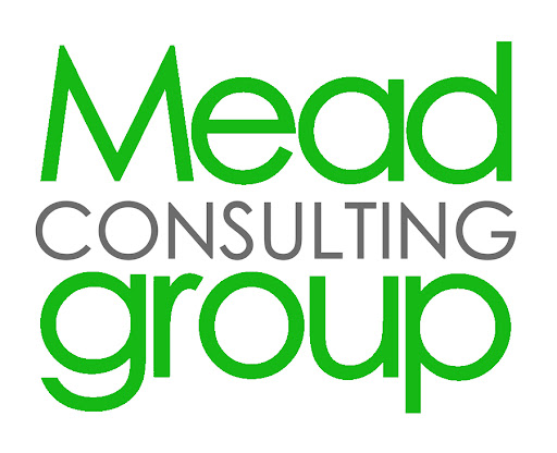 Meade Consultant, Inc.: Navigating Success in Business Consultancy